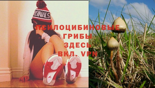 гашик Балабаново