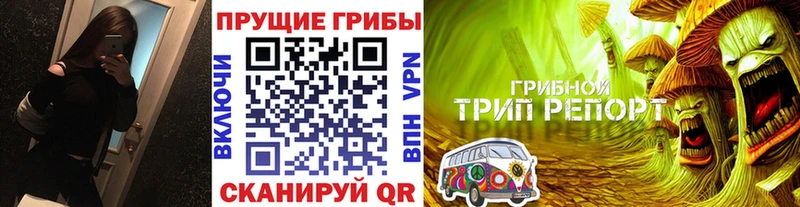 Галлюциногенные грибы Psilocybine cubensis Буинск