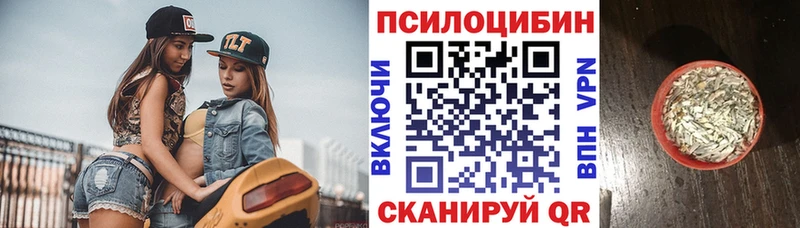 Галлюциногенные грибы GOLDEN TEACHER  где найти   Буинск 